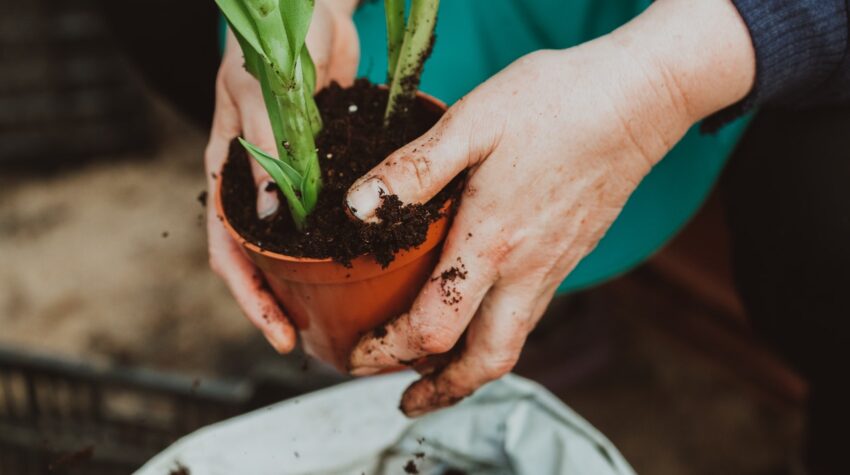 Planter